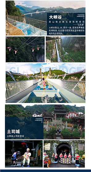 抖音_08.jpg